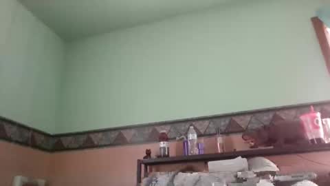 Snapshot of the_sam_ chatting on 01-28-25, 04:30 the_sam_ online show from 01-28-25, 04:30