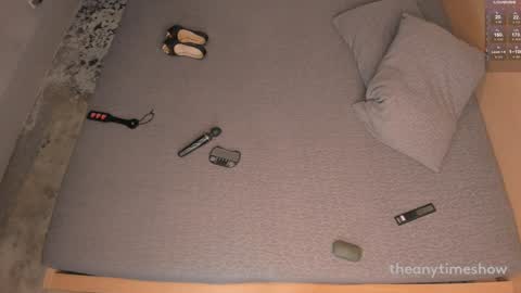 Snapshot of theanytimeshow chatting on 12-29-24, 01:45 Anny online show from 12-29-24, 01:45