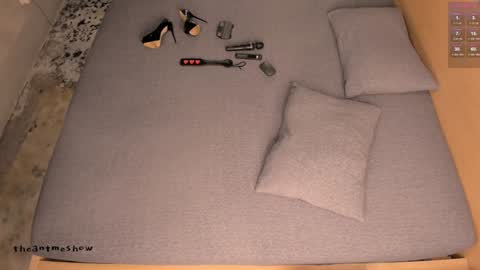 Snapshot of theanytimeshow chatting on 09-20-25, 04:19 Anny online show from 09-20-25, 04:19