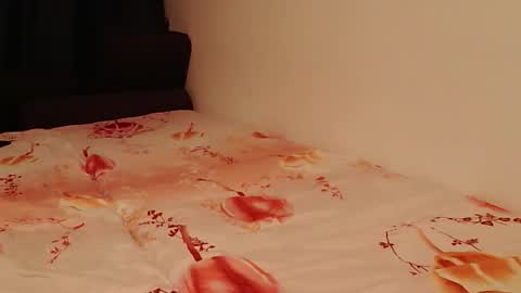 TheBigOne431 online show from 09-08-25, 03:44