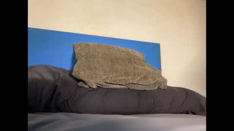 Snapshot of thebulge_b0y chatting on 10-20-25, 08:48 thebulge_b0y online show from 10-20-25, 08:48