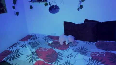 Ariamapola88 online show from 11-16-25, 01:44