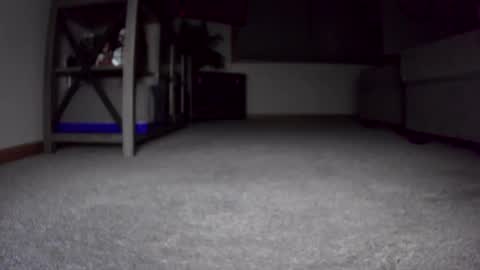 thegreat6268469 online show from 12-24-24, 10:44