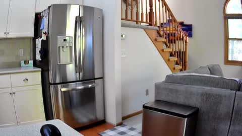 thegreat6268469 online show from 10-03-25, 08:39