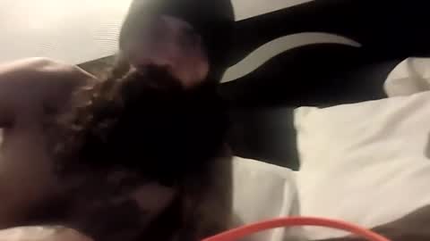 Snapshot of theh4iryfi5h chatting on 02-21-26, 12:28 theh4iryfi5h online show from 02-21-26, 12:28