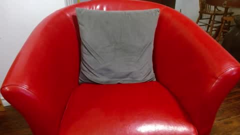 thekodyy online show from 01-09-25, 01:56