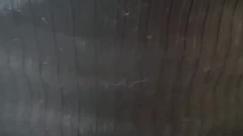 Lucy Lucy online show from 11-22-25, 03:22