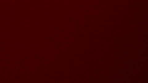 thenotoriouuus online show from 01-27-25, 12:16