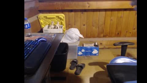 therealbigcheese0695 online show from 10-29-25, 08:21