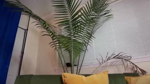 Snapshot of therealveggieboy chatting on 10-28-25, 10:45 Pookie online show from 10-28-25, 10:45