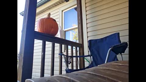 Snapshot of therizzler_1_of_1 chatting on 10-22-25, 07:57 therizzler_1_of_1 online show from 10-22-25, 07:57