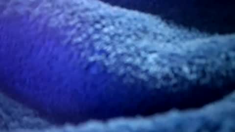 Snapshot of thetasigma69 chatting on 02-16-26, 01:18 that would be telling online show from 02-16-26, 01:18