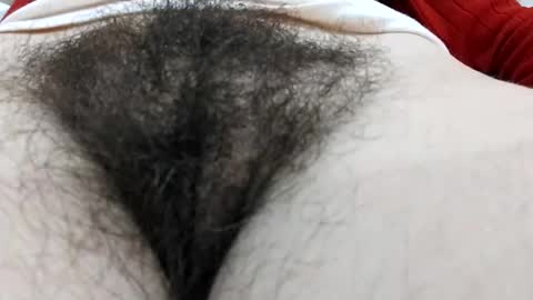 Snapshot of thickforest chatting on 12-17-24, 05:26 MilkyChoco online show from 12-17-24, 05:26