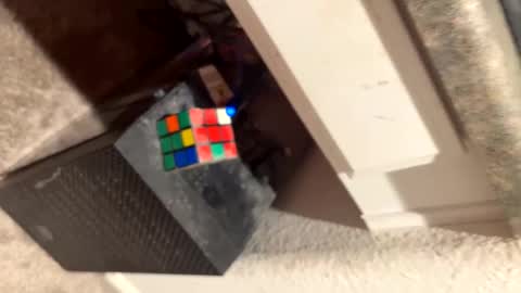 Thiccccc online show from 03-06-25, 08:08