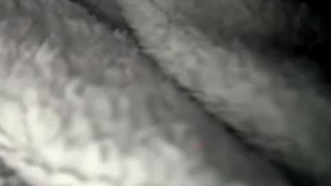 thickuncut7148704 online show from 02-07-25, 09:16