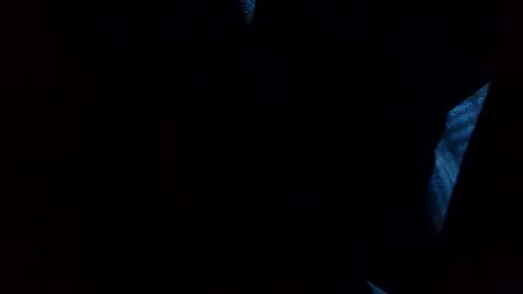 thisdixforyou online show from 12-31-24, 07:40