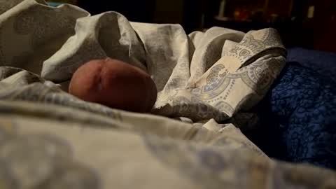 Snapshot of thisloadsforu chatting on 02-09-25, 07:16 thisloadsforu online show from 02-09-25, 07:16