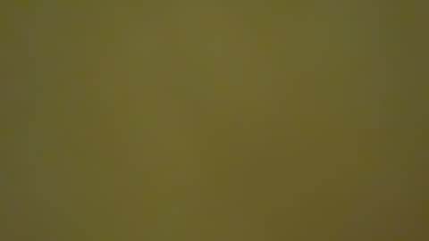 Snapshot of thomasborre chatting on 10-15-25, 02:17 thomasborre online show from 10-15-25, 02:17