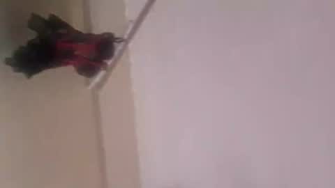 Snapshot of thomassr chatting on 11-05-25, 12:10 Thonas online show from 11-05-25, 12:10