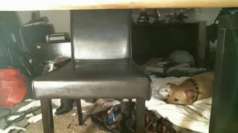 Thumper online show from 10-27-25, 01:15