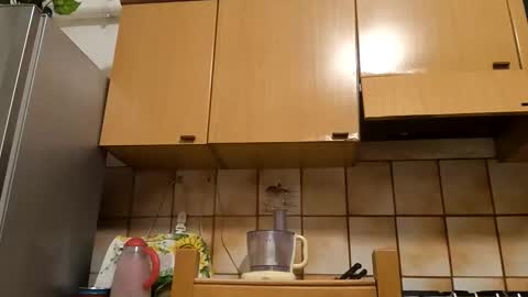 Little Wolf  online show from 11-10-25, 05:34