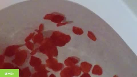 tia_j online show from 10-12-25, 11:20