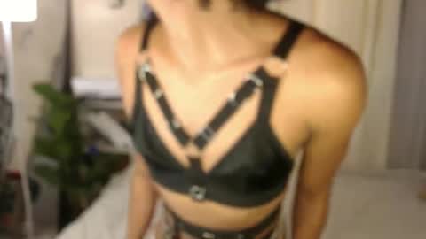 Sam online show from 12-15-24, 02:52