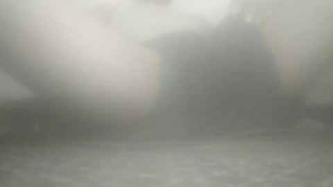 tiger005588 online show from 11-21-25, 09:08