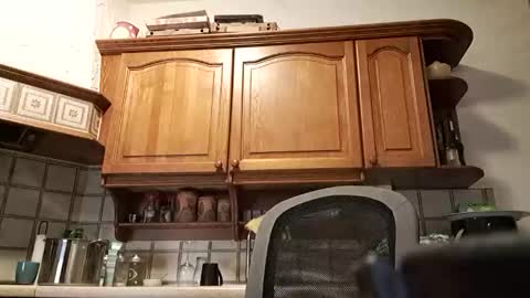 Snapshot of tigermatt76e chatting on 03-01-26, 06:32 tigermatt76e online show from 03-01-26, 06:32