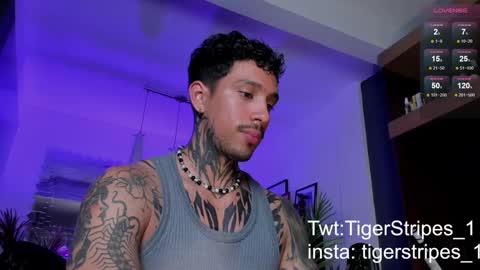 Snapshot of tigerstripes_ chatting on 03-02-25, 01:47 Chris online show from 03-02-25, 01:47