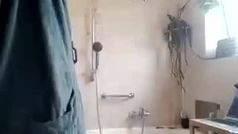 tigertrance online show from 11-11-25, 10:26