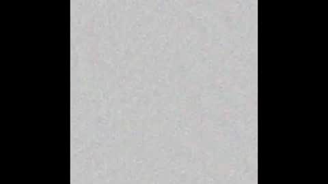 TimLooking online show from 02-17-25, 10:07