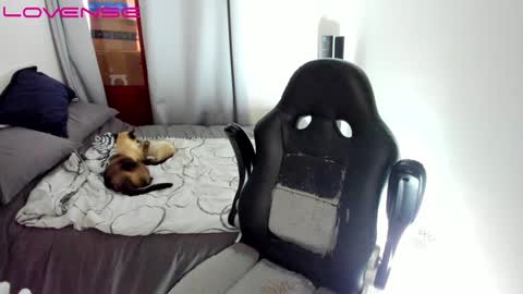 Tina online show from 12-12-24, 09:26