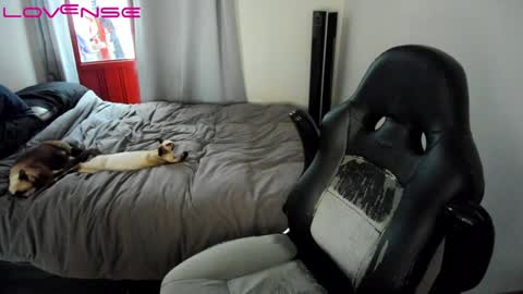 Tina online show from 01-22-25, 07:45