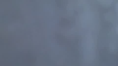 Snapshot of tinfoil6969 chatting on 02-01-26, 06:17 see my bio masturbate thick cock ballsack edging cum online show from 02-01-26, 06:17