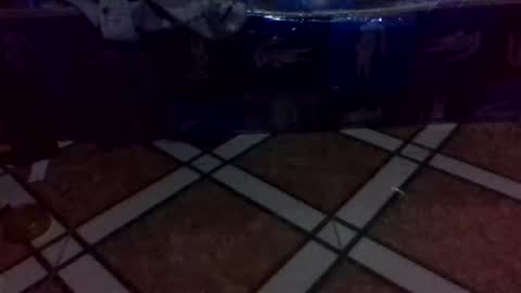 tino1roy online show from 03-24-26, 07:13