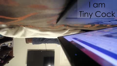 tinycock_1979 online show from 02-21-25, 02:28