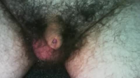 tinycocker online show from 10-19-25, 09:59