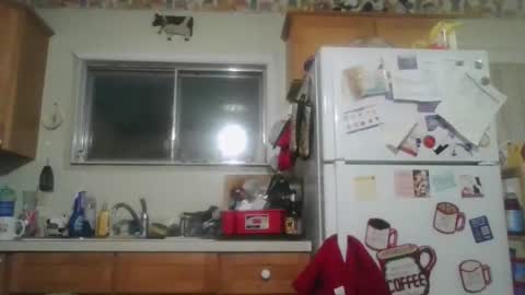 Snapshot of tiusflow chatting on 11-09-25, 11:19 tiusflow online show from 11-09-25, 11:19