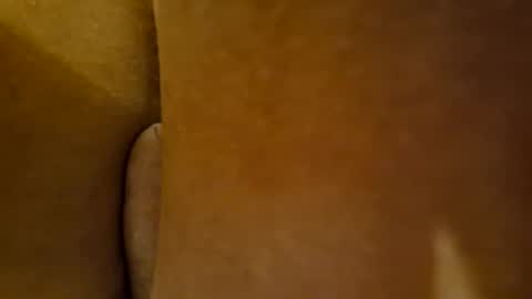 Snapshot of toadinhole chatting on 12-22-24, 03:55 Toady online show from 12-22-24, 03:55