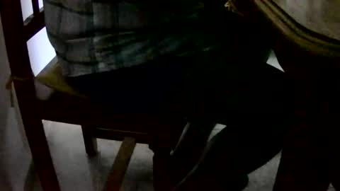 Tobiko online show from 12-01-24, 04:29