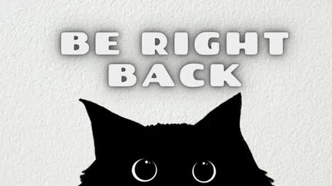 Tolli Moll online show from 01-28-25, 11:49