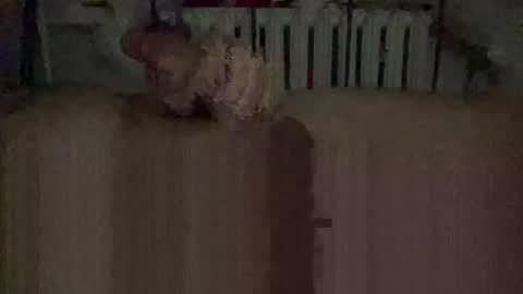 tom119411 online show from 02-24-25, 08:47