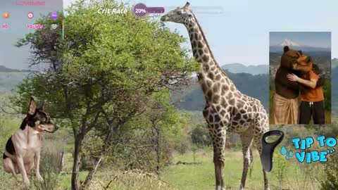 Snapshot of tomaz62a chatting on 10-30-25, 08:42 Tomaz62a online show from 10-30-25, 08:42