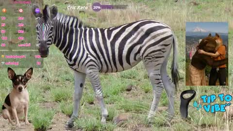 Snapshot of tomaz62a chatting on 11-01-25, 07:38 Tomaz62a online show from 11-01-25, 07:38