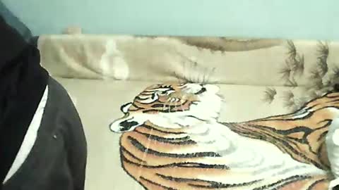 Snapshot of tomekpl30show chatting on 12-31-24, 05:18 Tomek online show from 12-31-24, 05:18