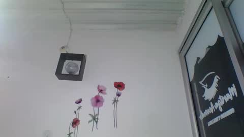 Snapshot of tomm_kors chatting on 09-10-25, 04:12 tomm online show from 09-10-25, 04:12