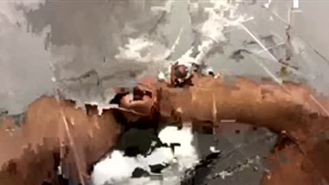 Dr. Dick online show from 11-24-25, 03:45