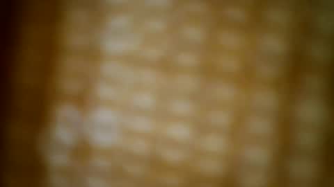 Snapshot of tomtresor chatting on 12-17-25, 05:13 tomtresor online show from 12-17-25, 05:13