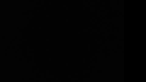 tooobvious online show from 01-10-25, 04:33